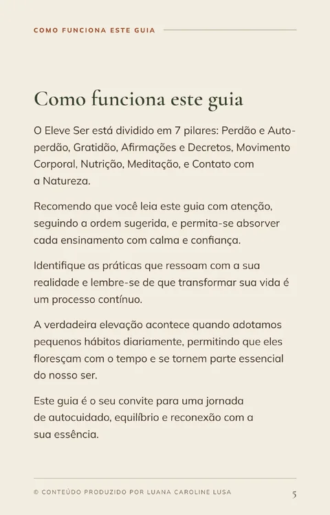 Página Como funciona este guia, explicando a divisão em 7 pilares.